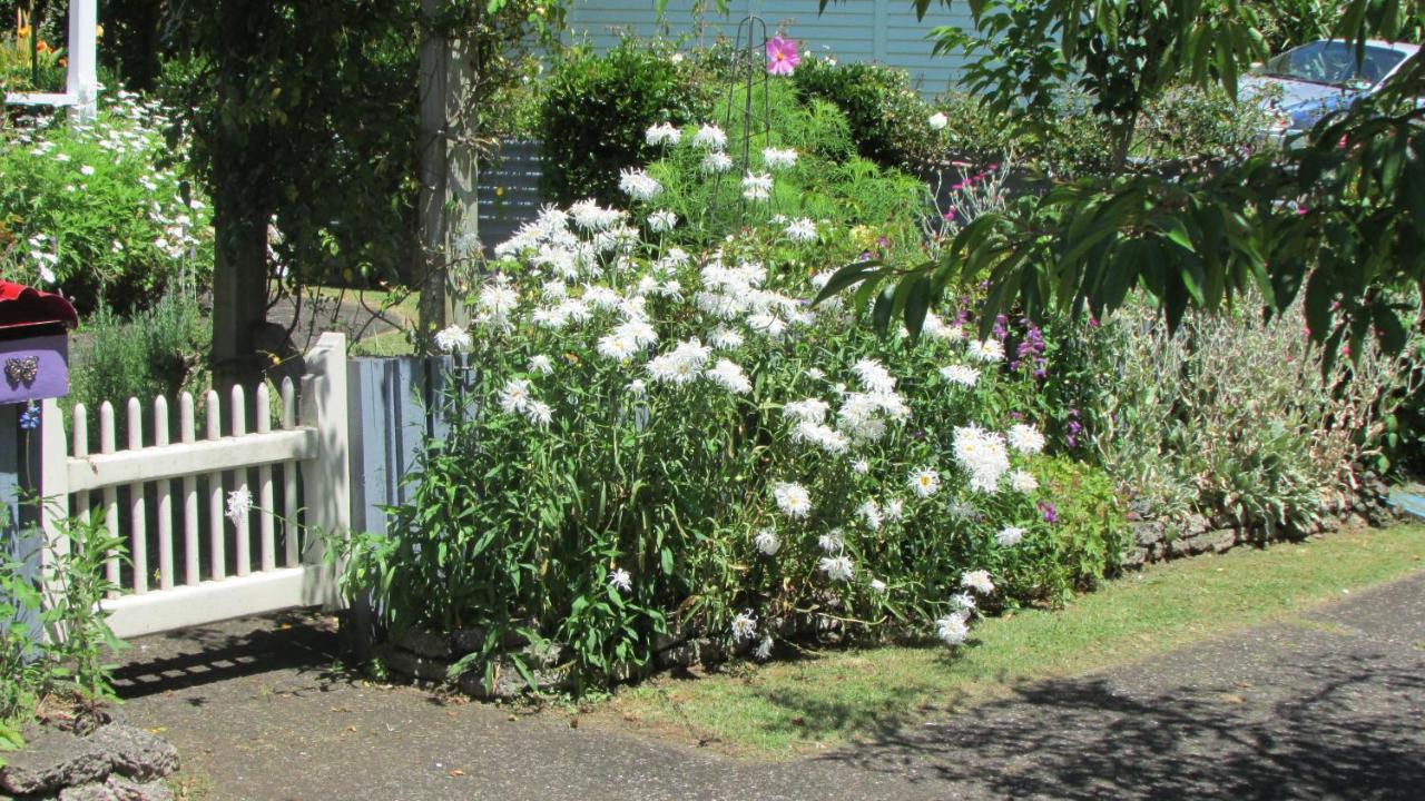 Cozy Haven - Waihi Apartment ภายนอก รูปภาพ