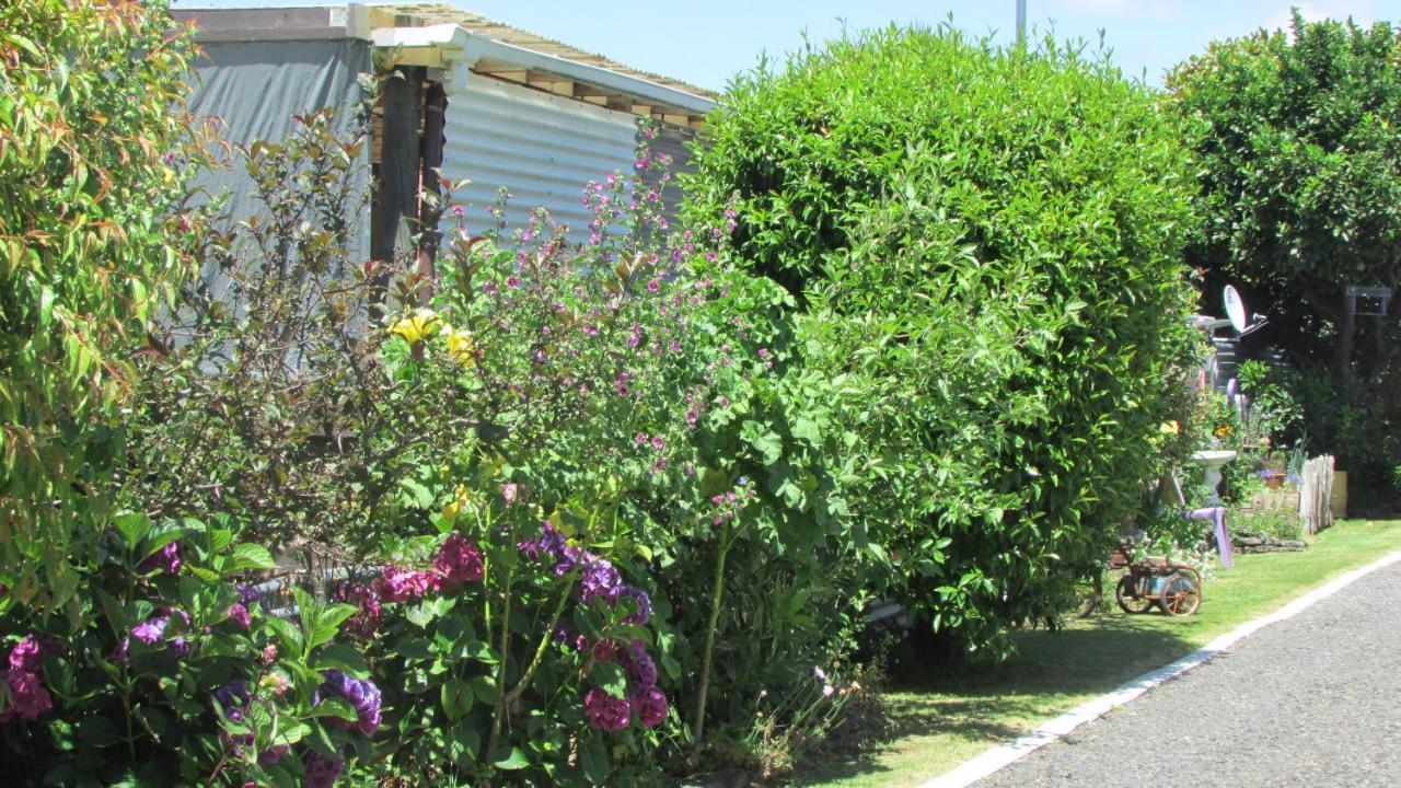 Cozy Haven - Waihi Apartment ภายนอก รูปภาพ